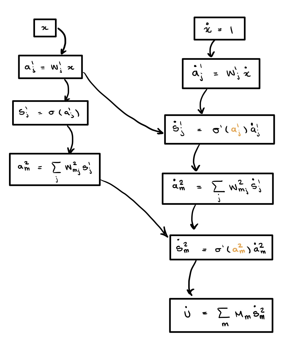 Computational graph for the first derivative